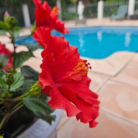 Les Jardins Du Patriarche Hotel Agde Exterior foto