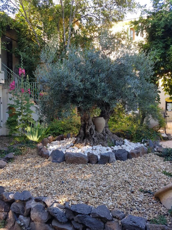 Les Jardins Du Patriarche Hotel Agde Exterior foto