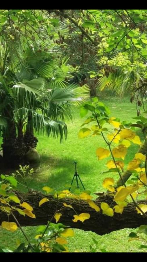 Les Jardins Du Patriarche Hotel Agde Exterior foto