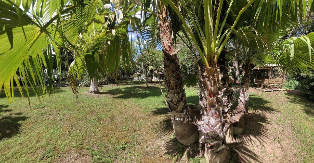 Les Jardins Du Patriarche Hotel Agde Exterior foto