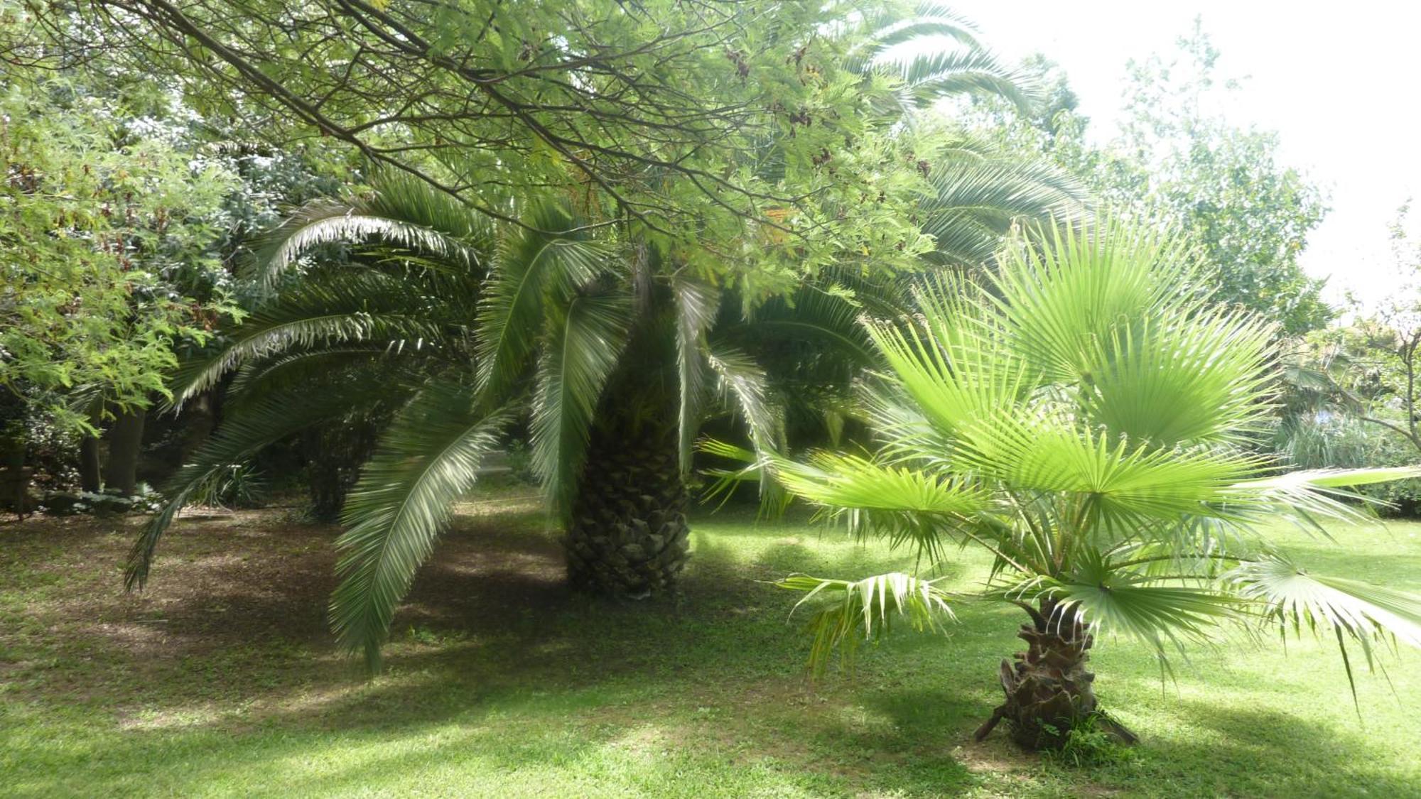 Les Jardins Du Patriarche Hotel Agde Exterior foto