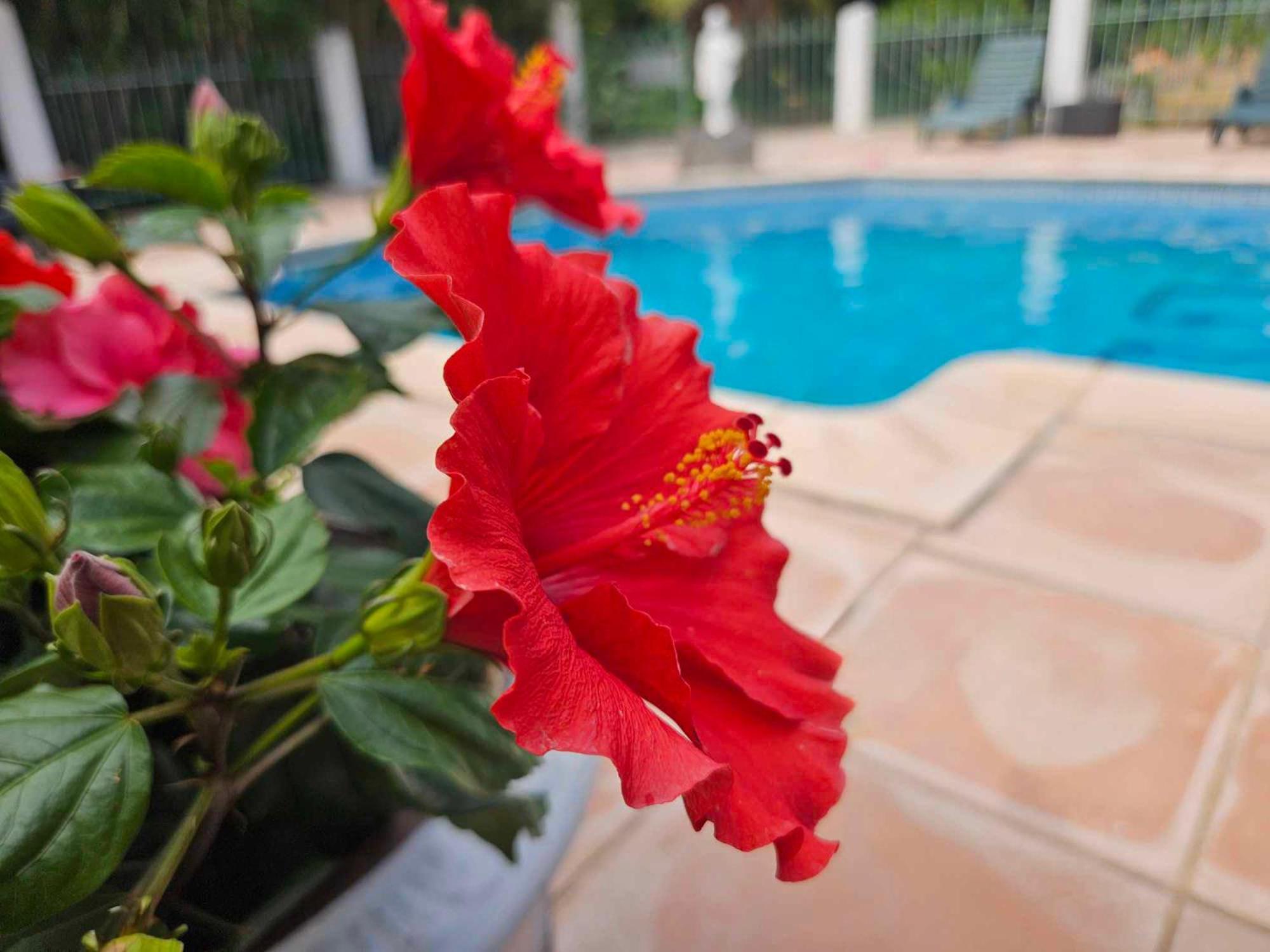 Les Jardins Du Patriarche Hotel Agde Exterior foto