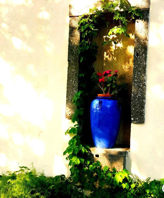 Les Jardins Du Patriarche Hotel Agde Exterior foto